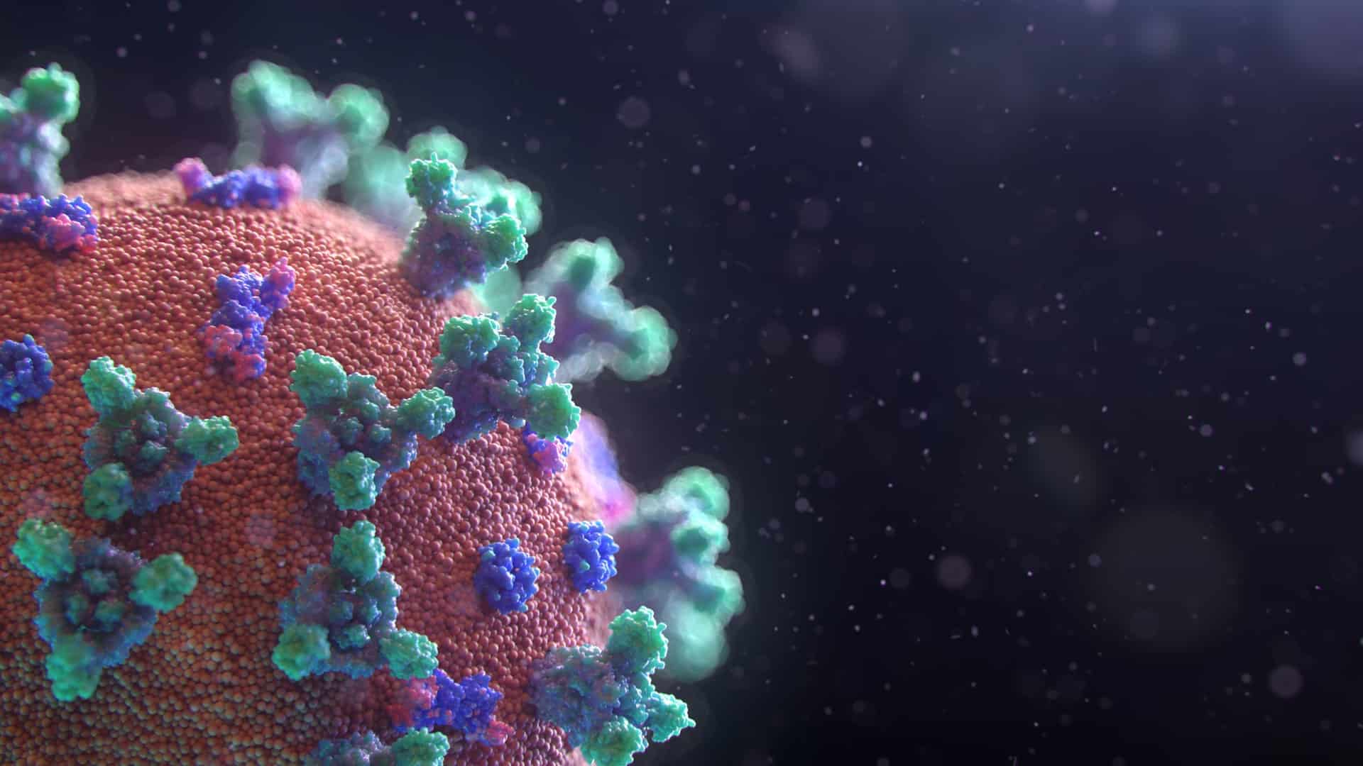 A closeup of the coronavirus molecule