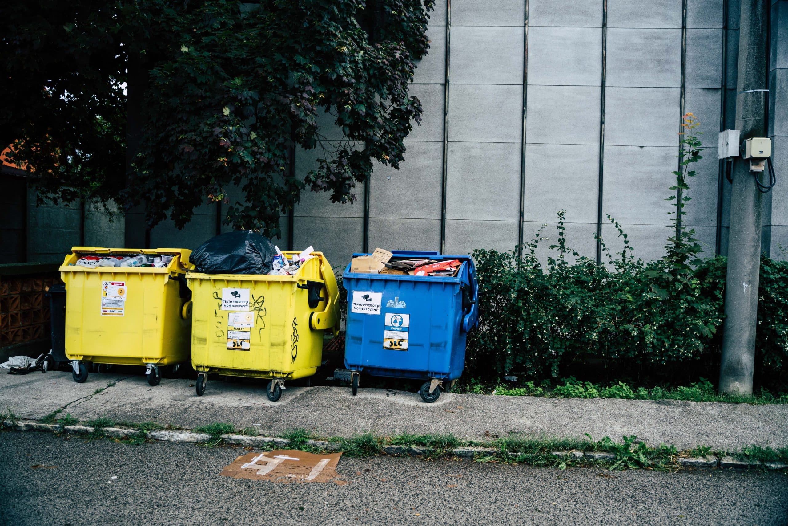 Trash disposal bin representing wrongful dismissal claim at a business